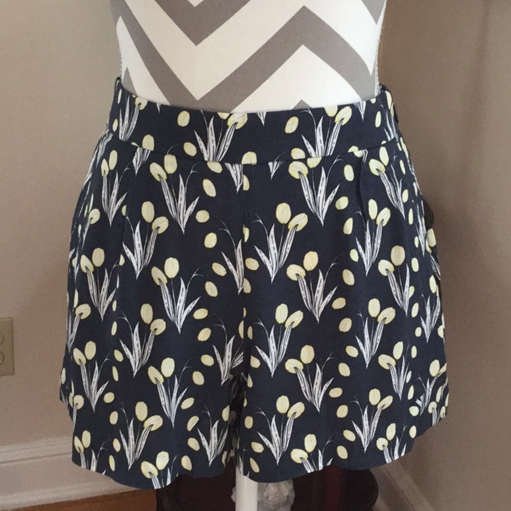 Loft Shorts